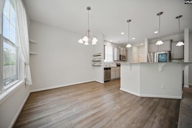 514 Red Taffy Way, Lexington, SC 29073 - kitchen with stainless steel appliances, a breakfast bar area, healthy amount of natural light, wood finished floors, and recessed lighting