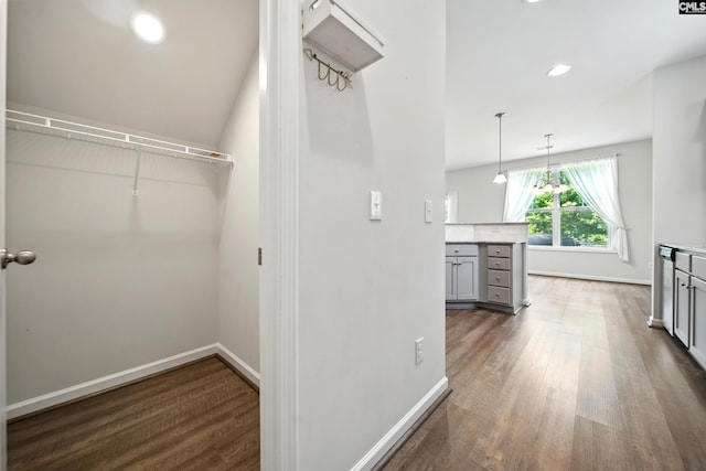 514 Red Taffy Way, Lexington, SC 29073 - walk in closet featuring dark wood-style flooring