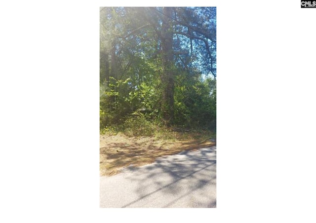 0 Eleanor St, Newberry, SC 29108