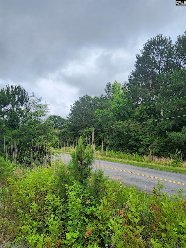 0 Elm St, Prosperity, SC 29127