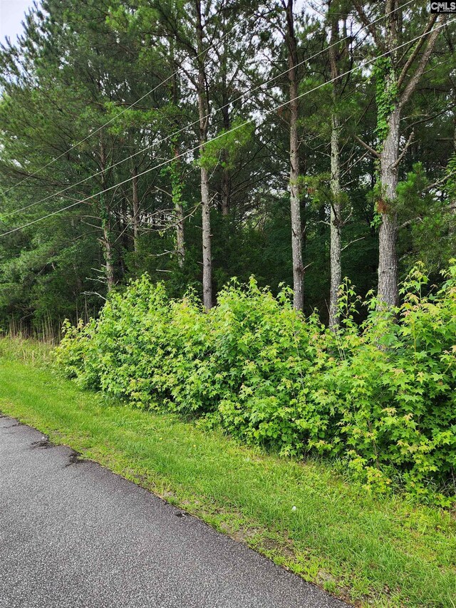 0 Elm St, Prosperity, SC 29127