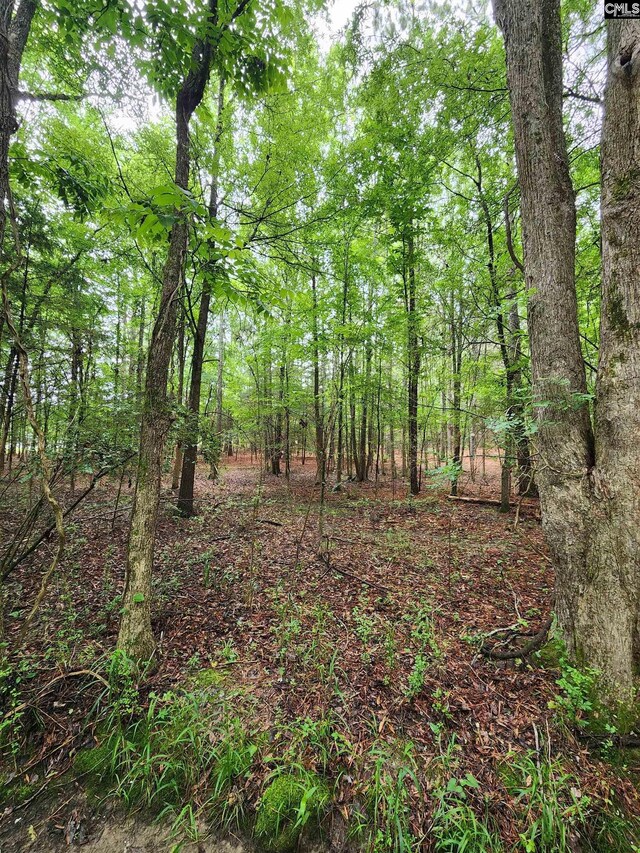 0 Elm St, Prosperity, SC 29127