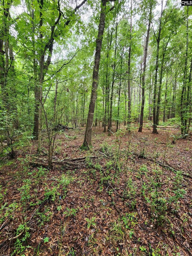 0 Elm St, Prosperity, SC 29127
