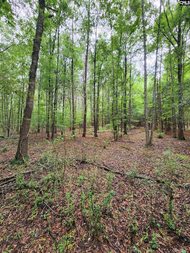 0 Elm St, Prosperity, SC 29127