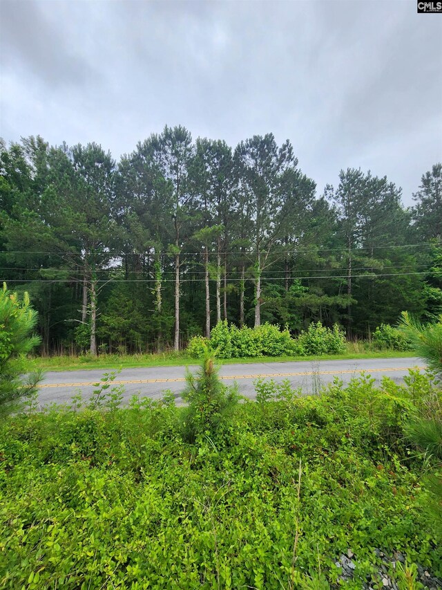 0 Elm St, Prosperity, SC 29127