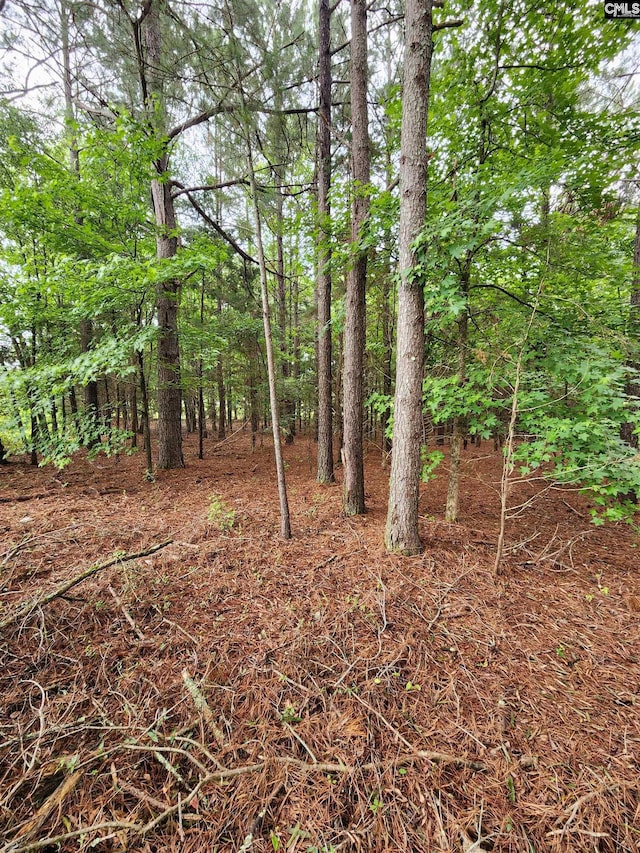 0 Elm St, Prosperity, SC 29127