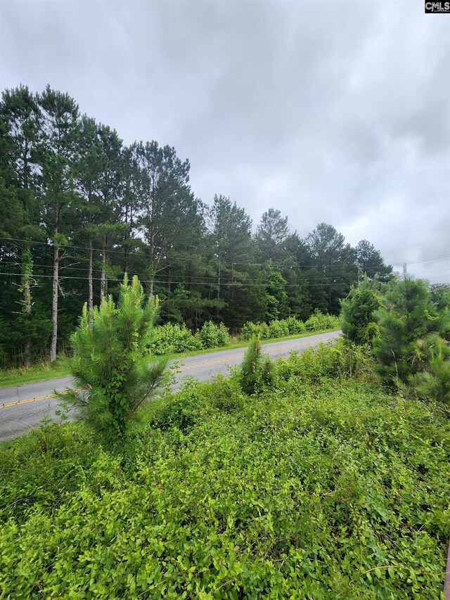 0 Elm St, Prosperity, SC 29127