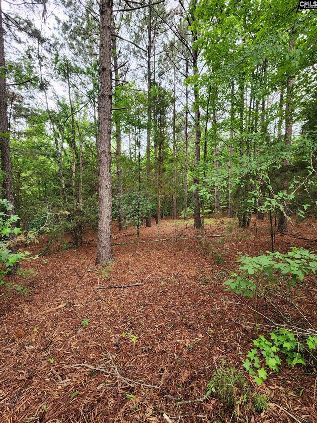 0 Elm St, Prosperity, SC 29127