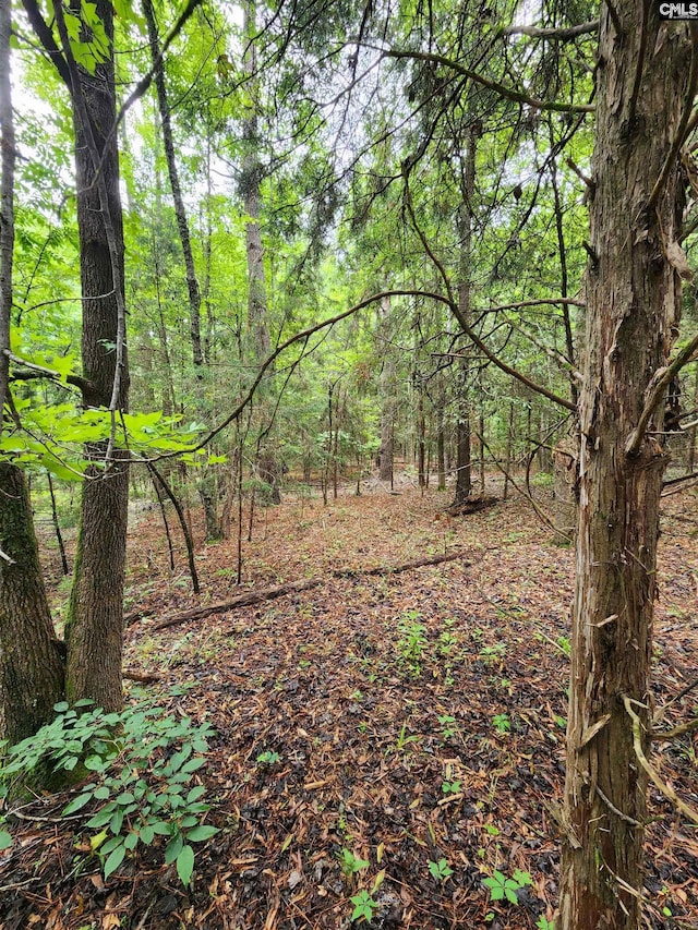 0 Elm St, Prosperity, SC 29127