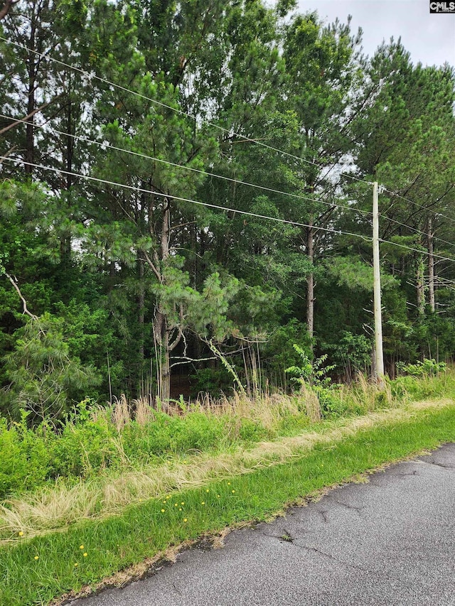 0 Elm St, Prosperity, SC 29127