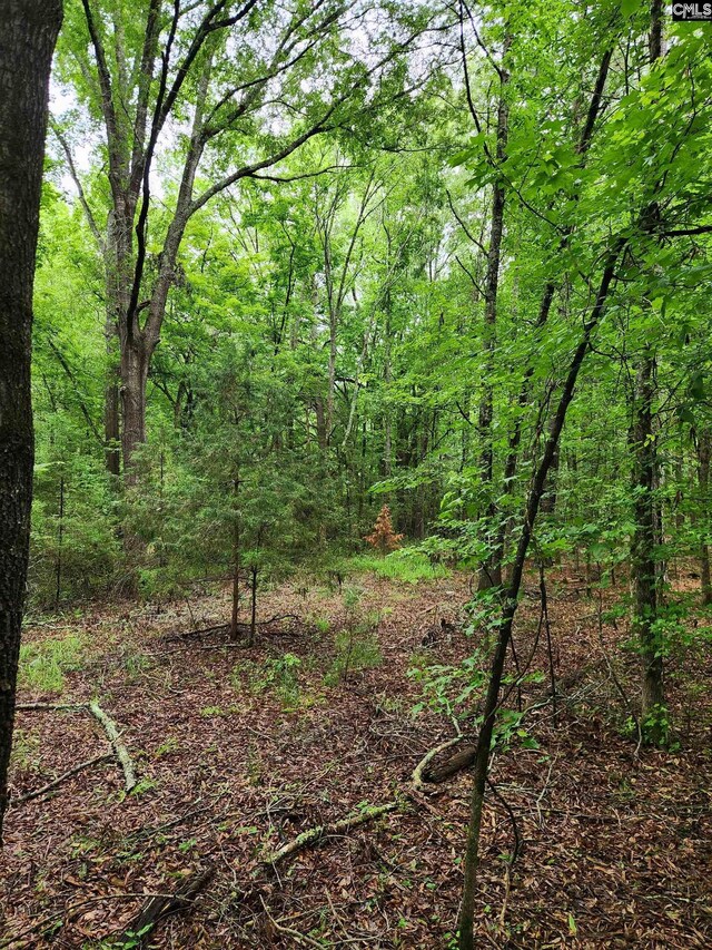 0 Elm St, Prosperity, SC 29127
