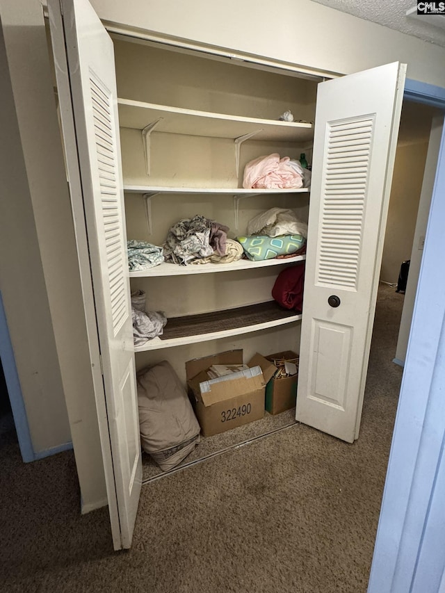 21 Forestgate Ct, Columbia, SC 29212 - view of closet