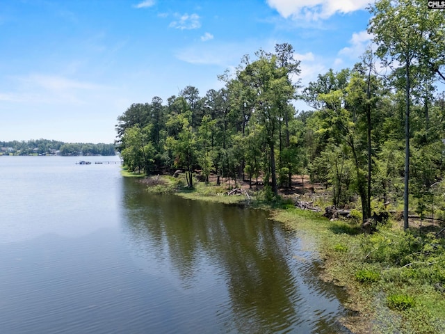 725 Clipper Trl, Chapin, SC 29036