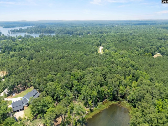 725 Clipper Trl, Chapin, SC 29036