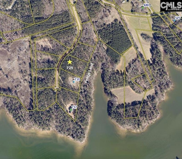 725 Clipper Trl, Chapin, SC 29036