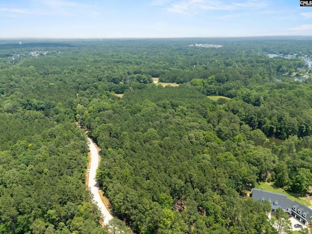 725 Clipper Trl, Chapin, SC 29036