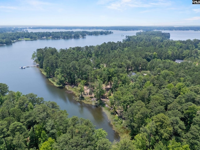 725 Clipper Trl, Chapin, SC 29036