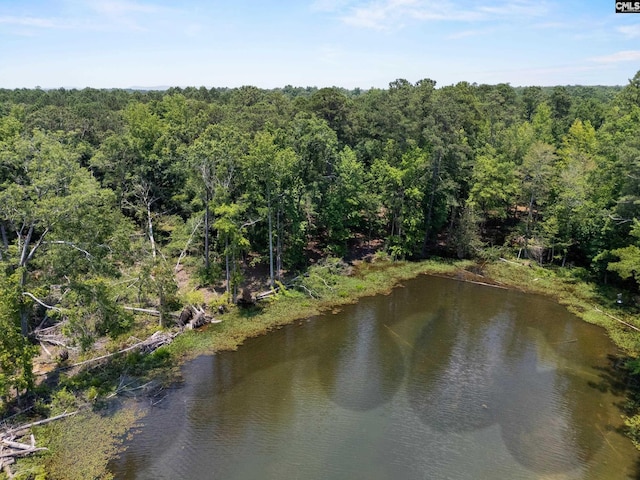 725 Clipper Trl, Chapin, SC 29036
