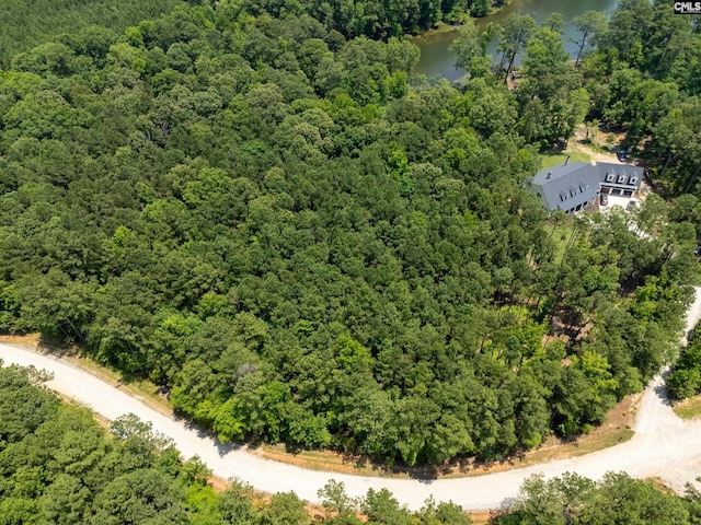 725 Clipper Trl, Chapin, SC 29036