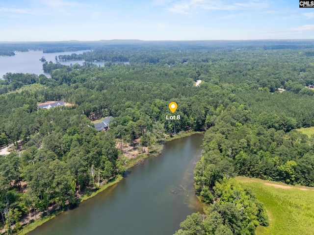 725 Clipper Trl, Chapin, SC 29036