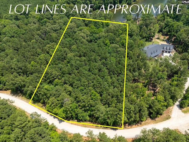 725 Clipper Trl, Chapin, SC 29036