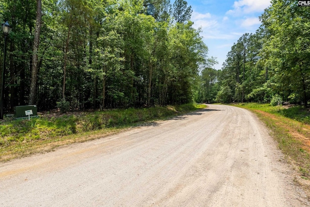 725 Clipper Trl, Chapin, SC 29036