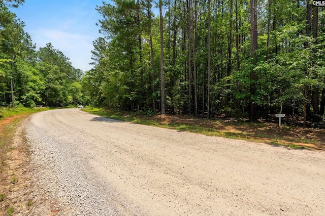 725 Clipper Trl, Chapin, SC 29036