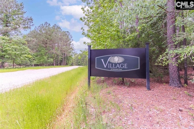 725 Clipper Trl, Chapin, SC 29036