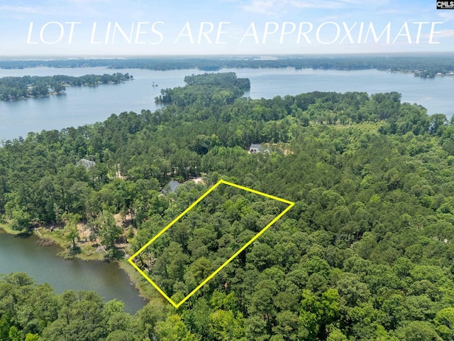 725 Clipper Trl, Chapin, SC 29036