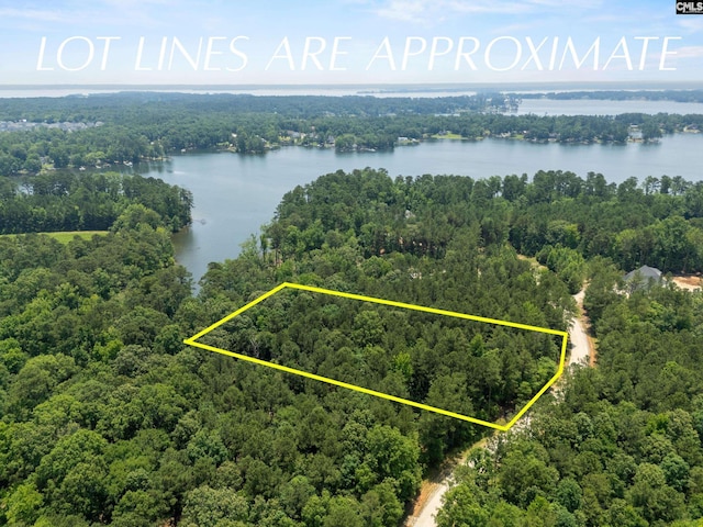 725 Clipper Trl, Chapin, SC 29036
