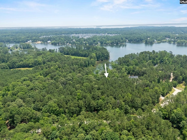 725 Clipper Trl, Chapin, SC 29036