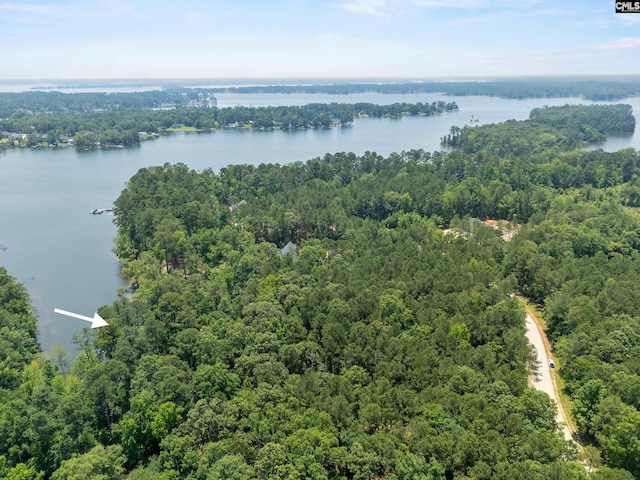 725 Clipper Trl, Chapin, SC 29036