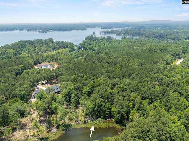 725 Clipper Trl, Chapin, SC 29036