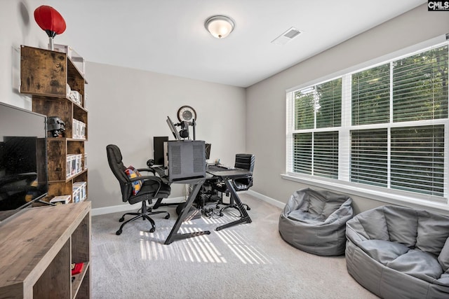 556 Harbour Pointe Dr, Columbia, SC 29229 - carpeted office space with baseboards