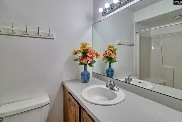 519 Cockspur Rd, Irmo, SC 29063 - full bathroom featuring toilet, vanity, and a shower