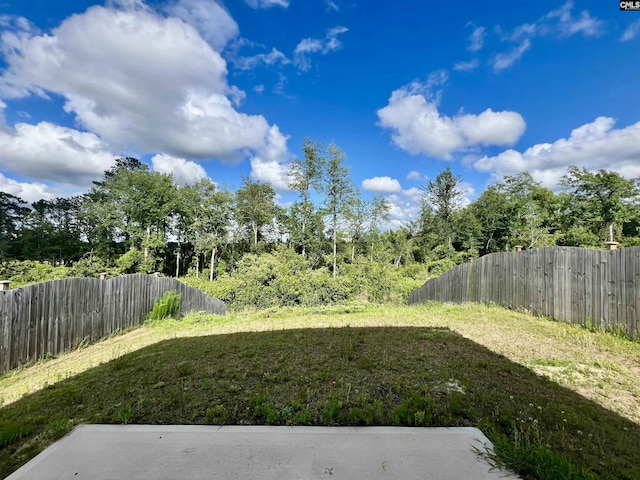 520 Cricket Chirp Ln, Elgin, SC 29045 - view of fenced backyard