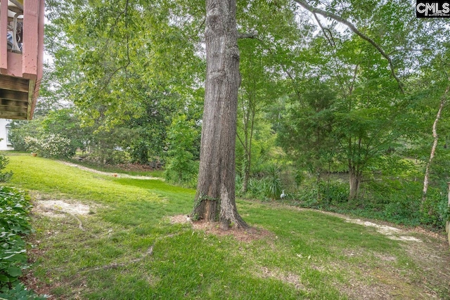121 Stonemont Dr, Irmo, SC 29063 - view of grassy yard