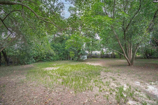 2136 Windale Dr, Columbia, SC 29223 - view of yard with a view of trees