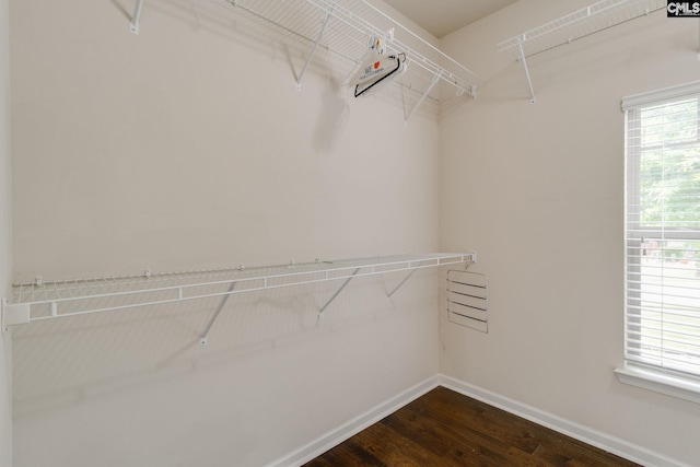 757 Garrett Way, Columbia, SC 29229 - walk in closet with dark wood-style flooring