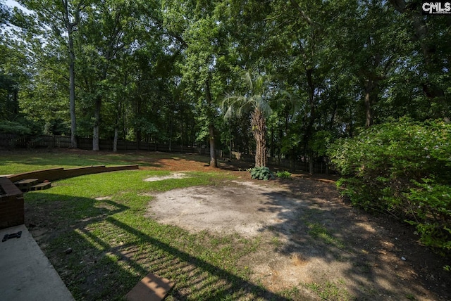 315 Poindexter Ln, Lexington, SC 29072 - view of yard