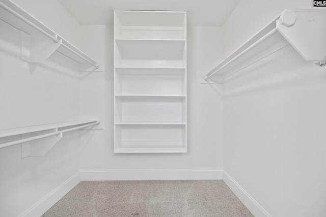 104 Eastshore Dr, Lexington, SC 29072 - view of spacious closet