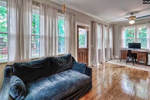 205 Weeping Cherry Ln, Columbia, SC 29212 - living room featuring wood finished floors, ceiling fan, plenty of natural light, crown molding, and an office area