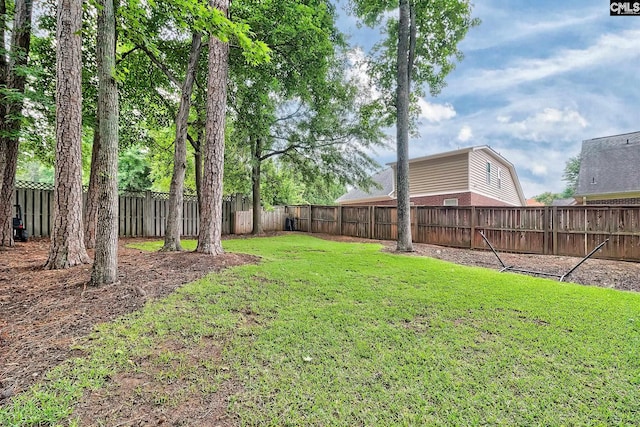 205 Weeping Cherry Ln, Columbia, SC 29212 - view of yard