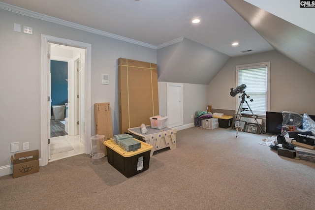 108 Shallow Brook Dr, Columbia, SC 29223 - additional living space with carpet, vaulted ceiling, recessed lighting, and baseboards