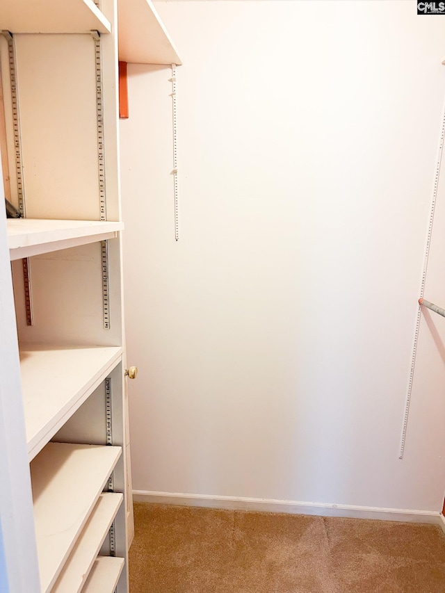 112 Valhalla Dr, Columbia, SC 29229 - walk in closet with carpet floors