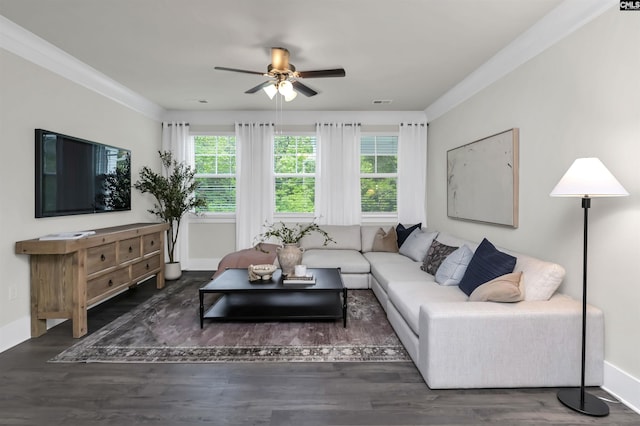 2451 Thode Ln, Lexington, SC 29072 - living room featuring plenty of natural light, a ceiling fan, wood finished floors, baseboards, and crown molding