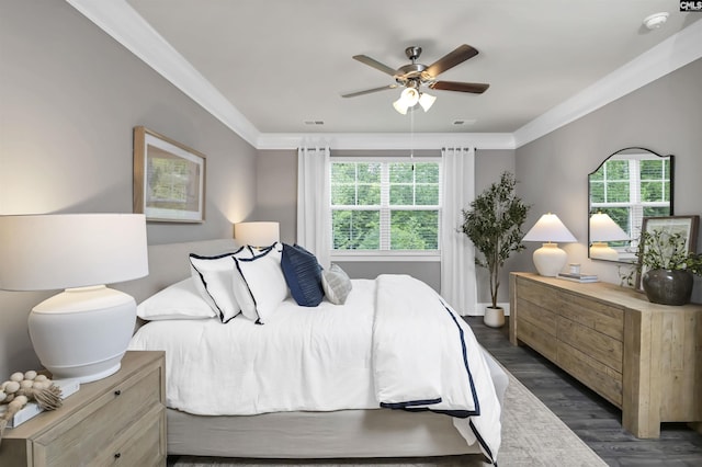 2451 Thode Ln, Lexington, SC 29072 - bedroom with multiple windows, dark wood finished floors, ornamental molding, and a ceiling fan