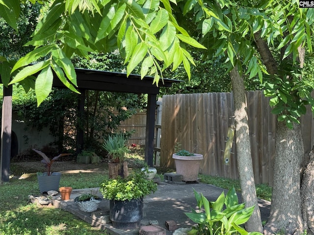 714 E Dunlap St, Lancaster, SC 29720 - view of yard