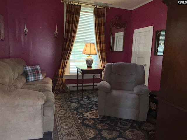 714 E Dunlap St, Lancaster, SC 29720 - living room featuring a baseboard radiator, ornamental molding, and carpet flooring