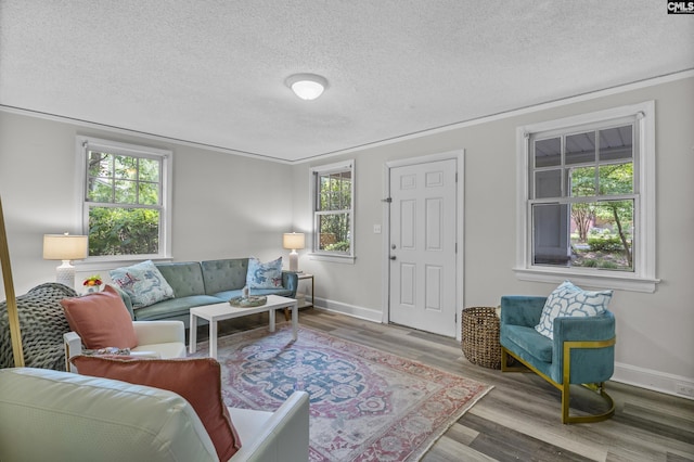 2611 Mills Dr, Columbia, SC 29204 - living area with wood finished floors, a textured ceiling, baseboards, and crown molding